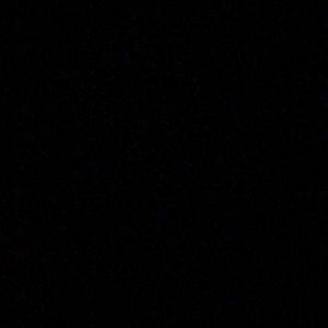 Meet your Posher, Lilly